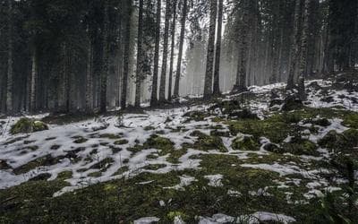 Clínica Dental Sonrisa