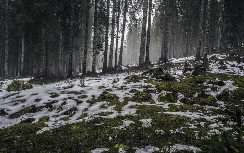 Clínica Dental Sonrisa